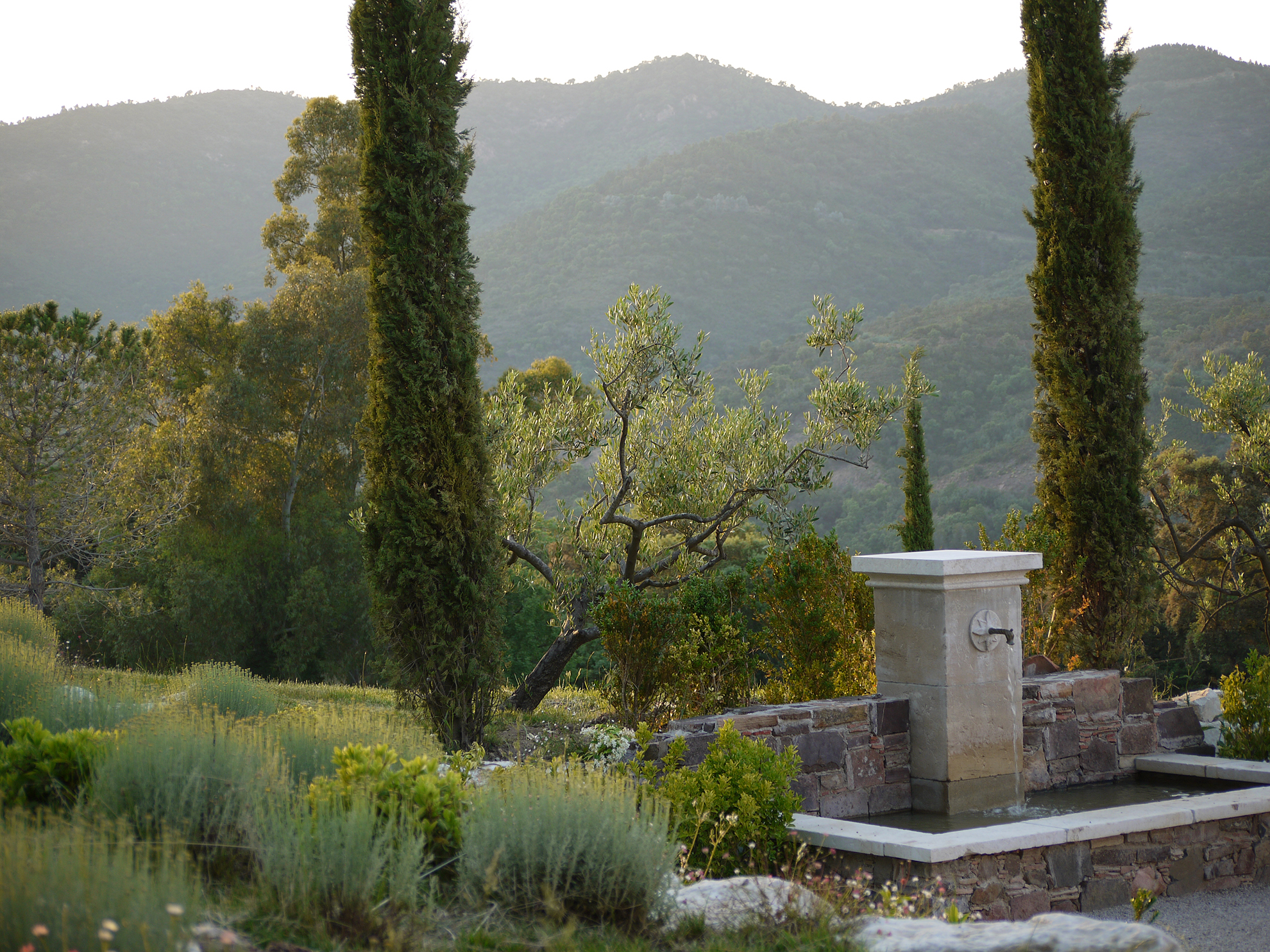 Domaine des Oliviers de l'Estérel Saint Jean de Cannes