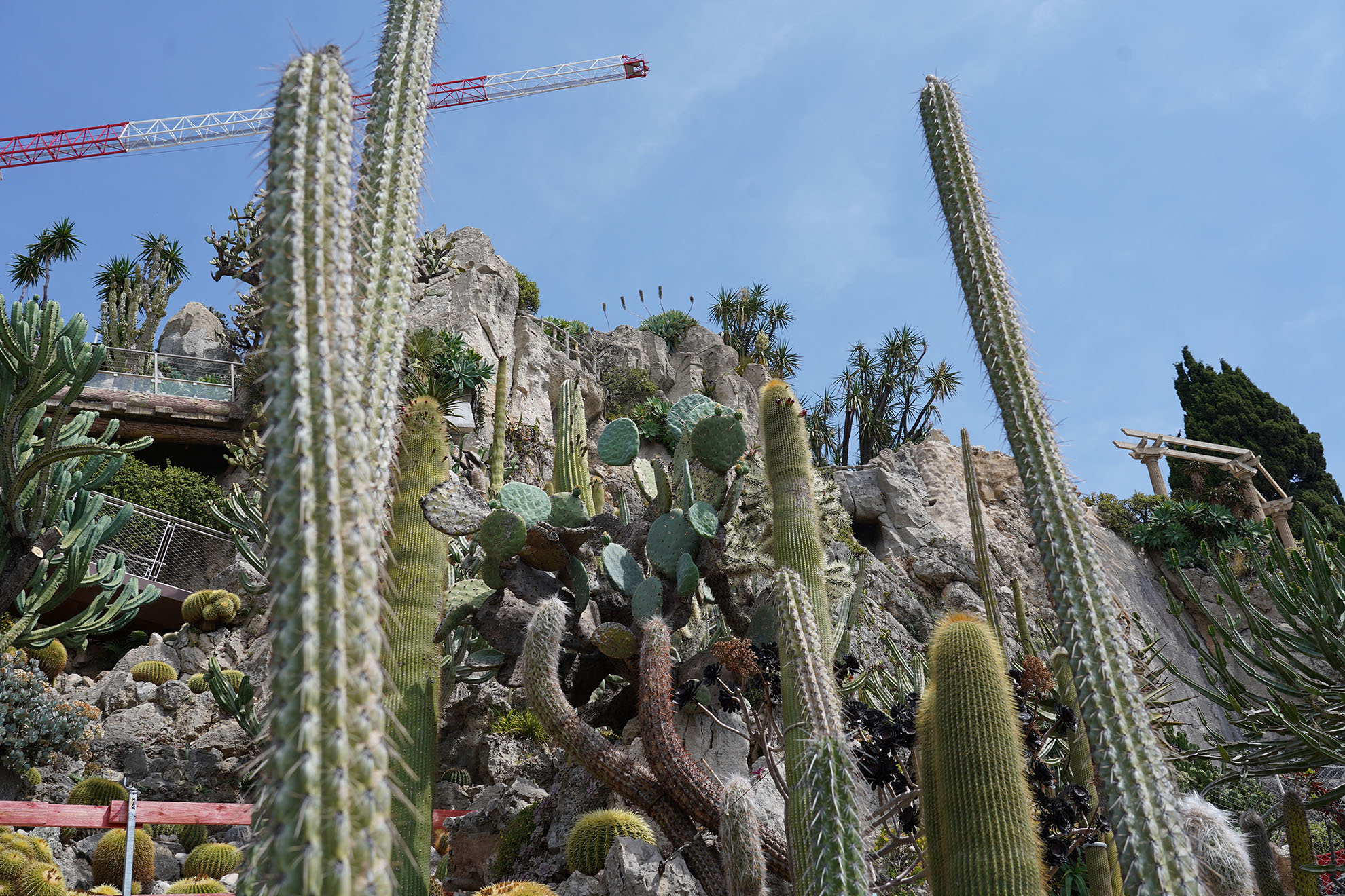 Jardin Exotique Principauté de Monaco