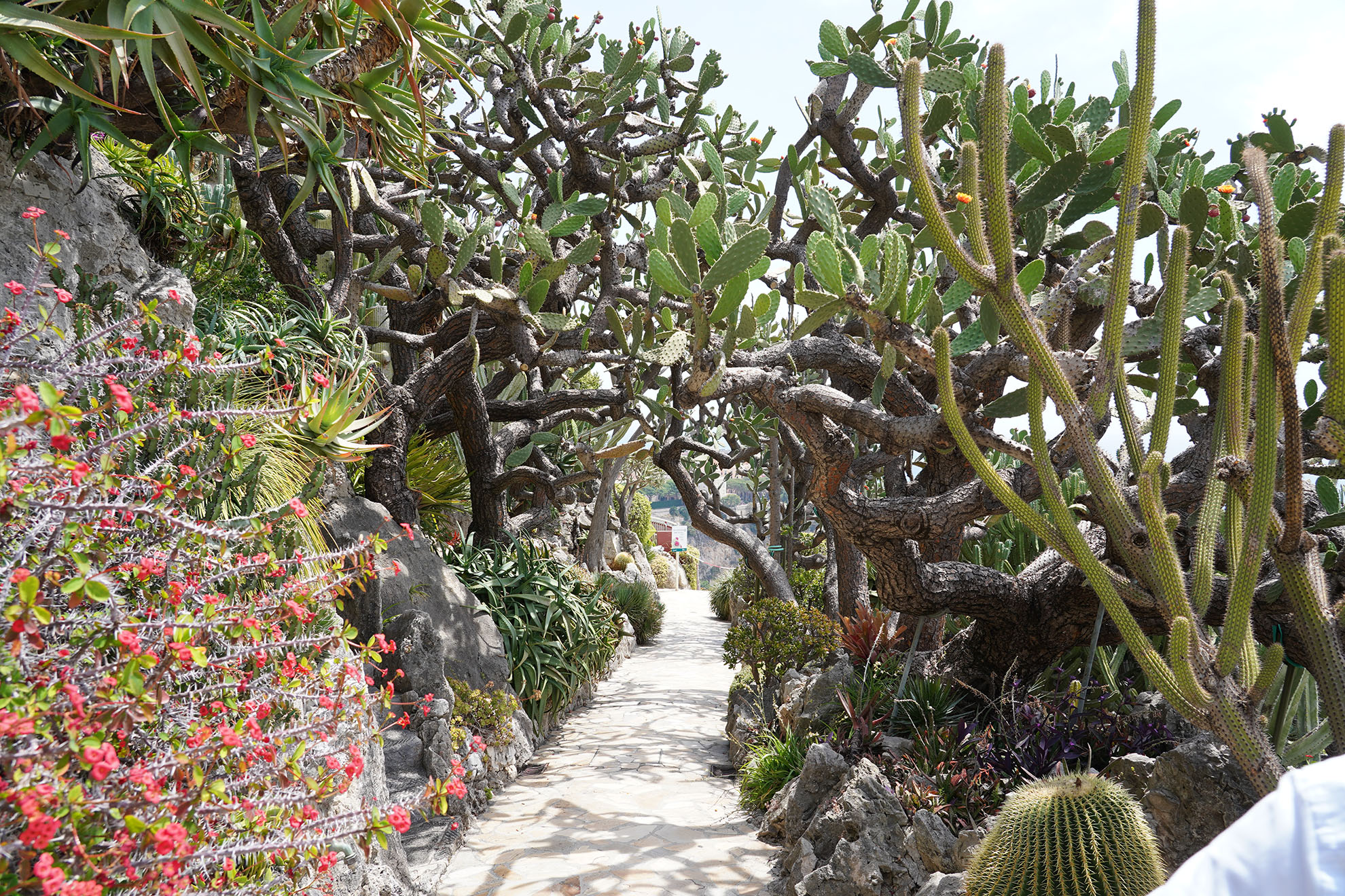 Jardin Exotique Principauté de Monaco