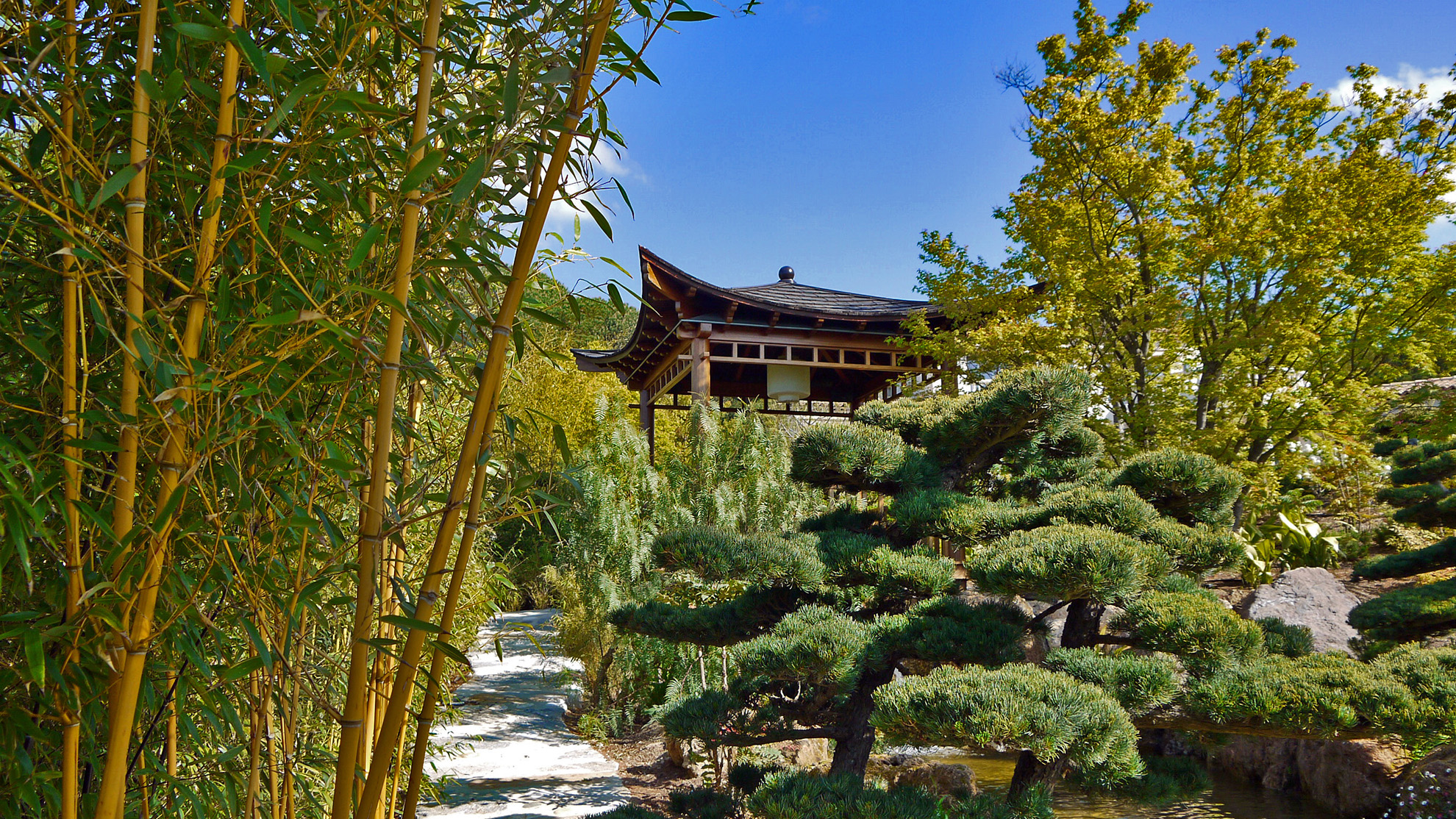 Jardin japonais Cannes