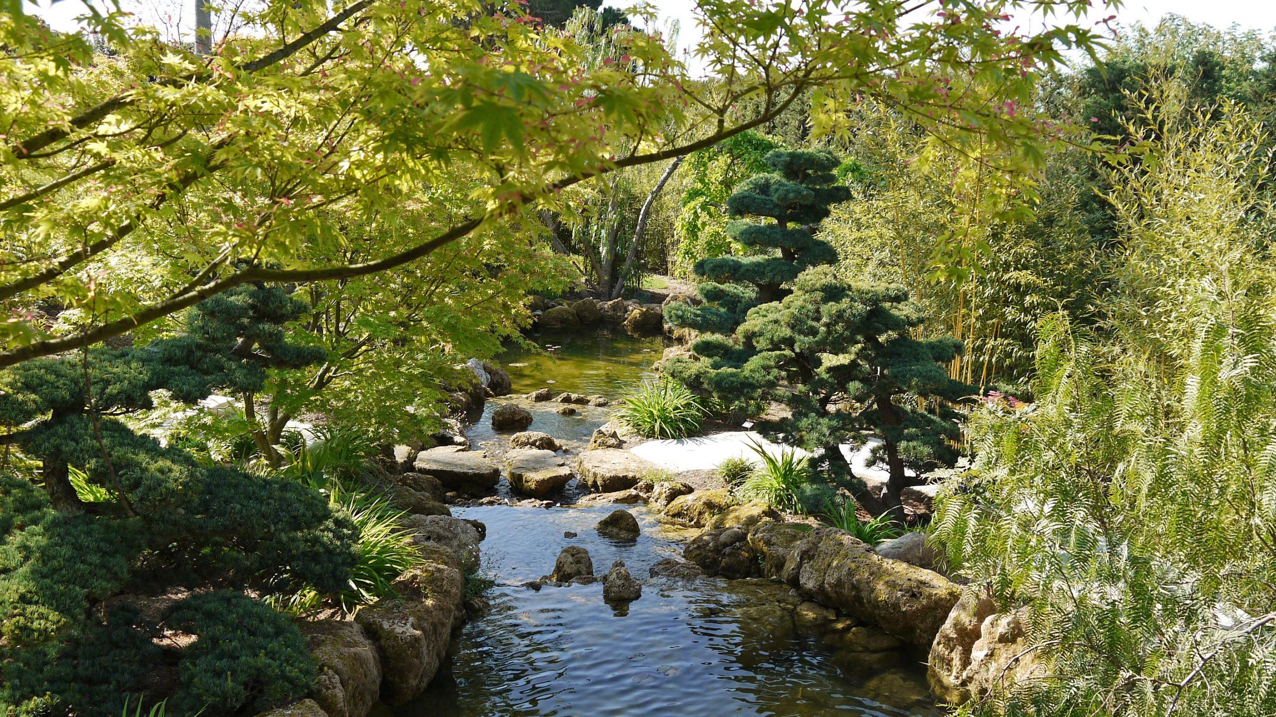 Jardin japonais Cannes