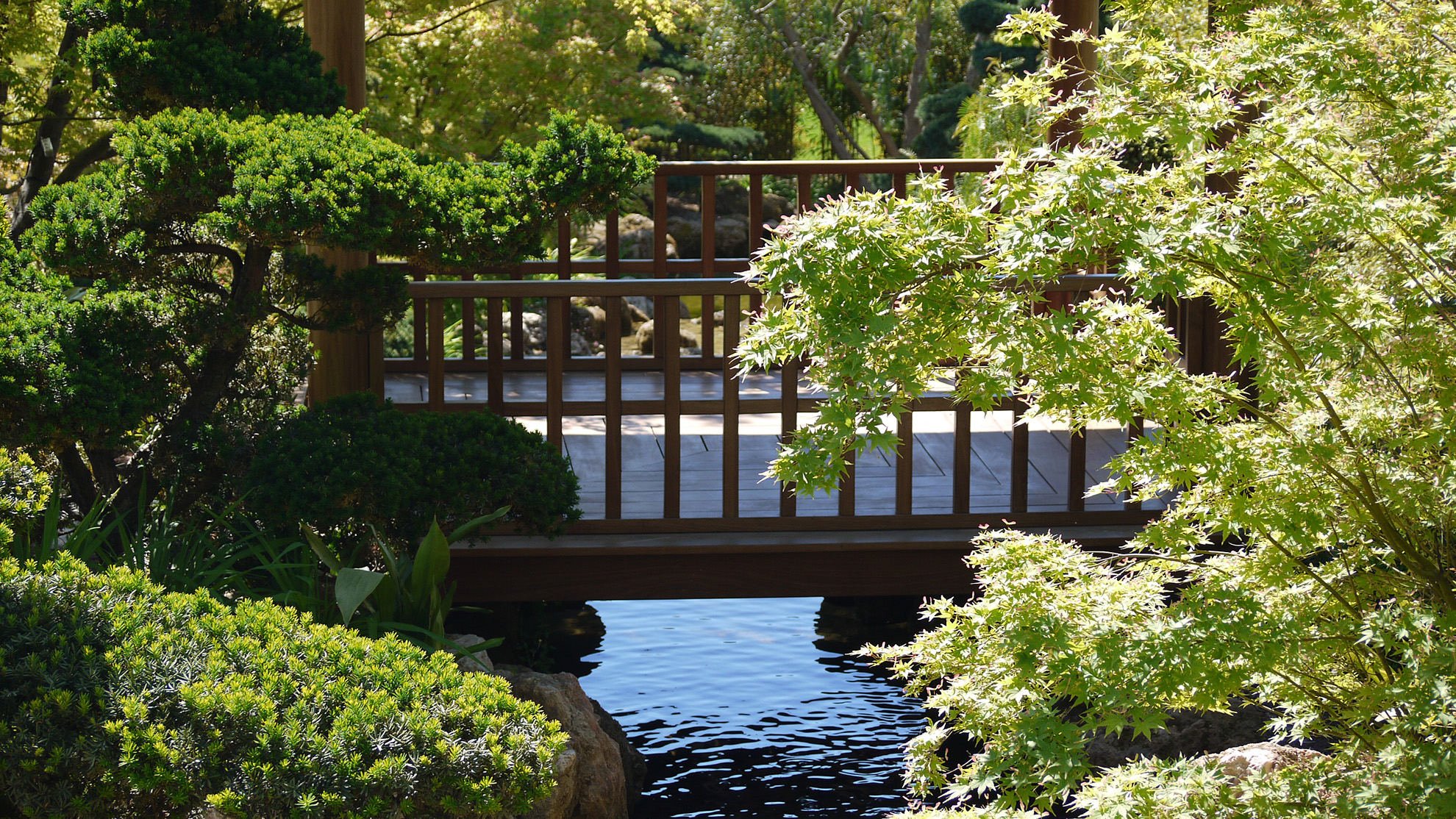 Jardin japonais Cannes