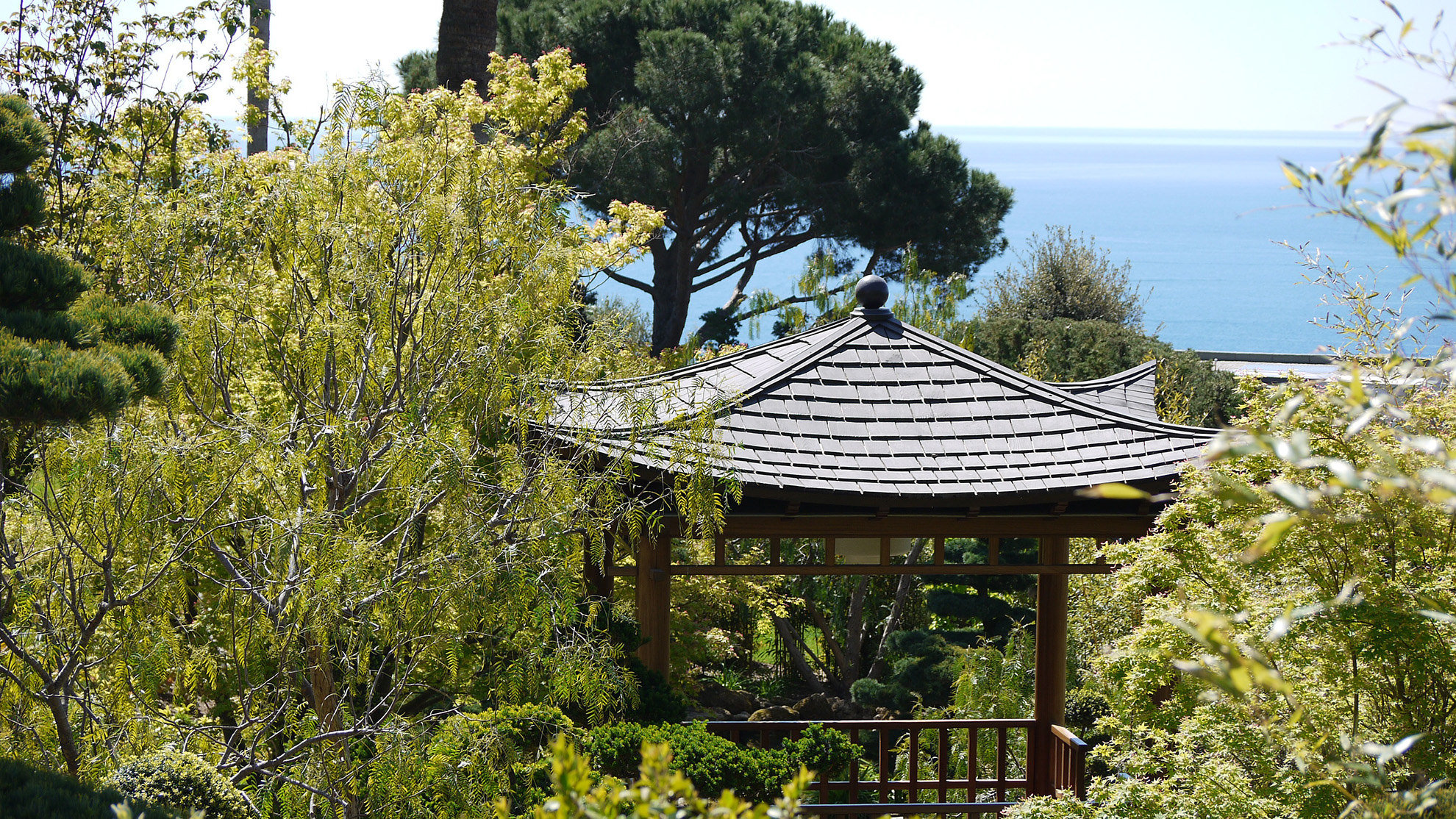 Jardin japonais Cannes