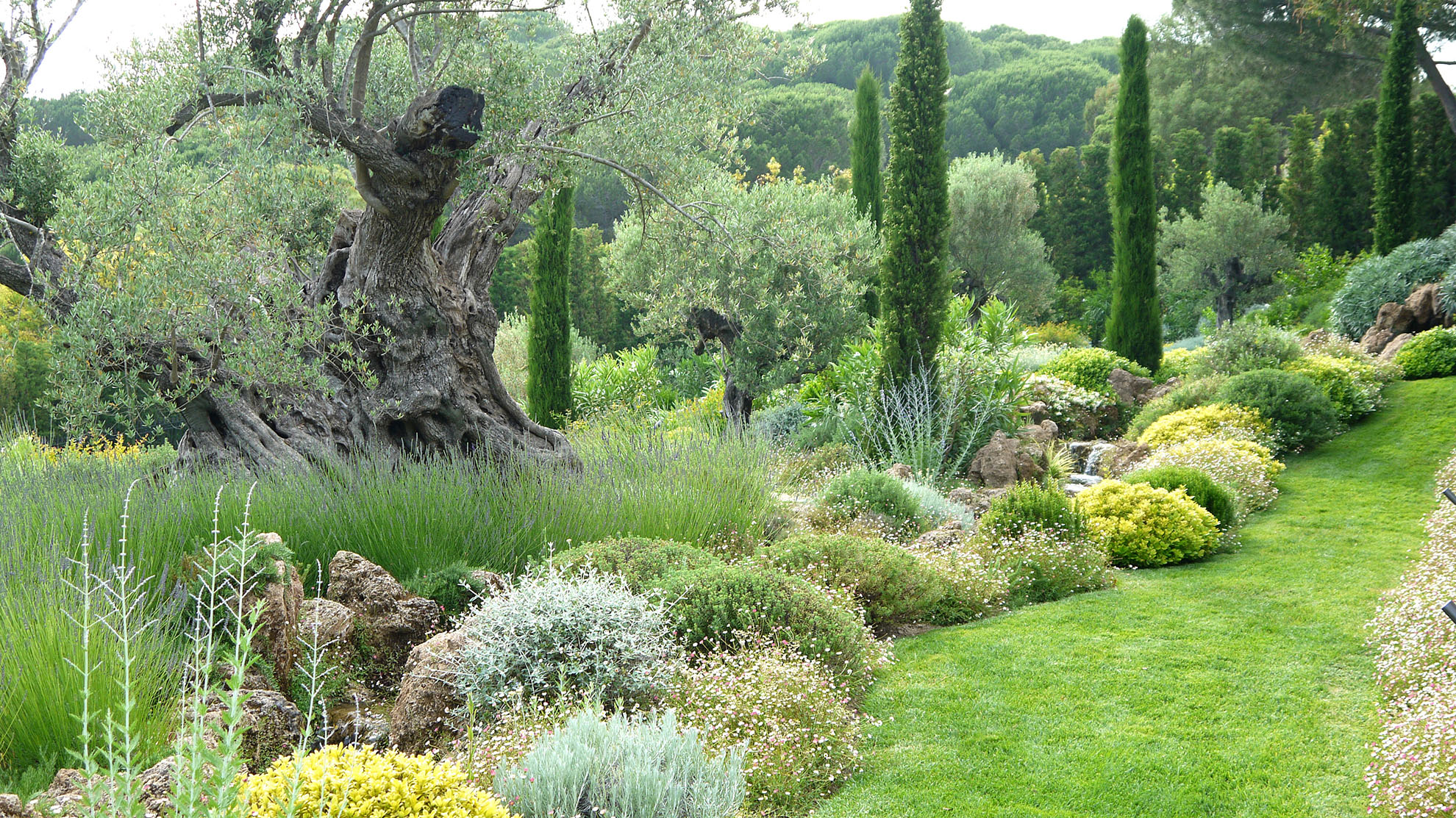 Jardin M dit rran en Atelier Herv Meyer Jardin M dit rran en Atelier Herv Meyer