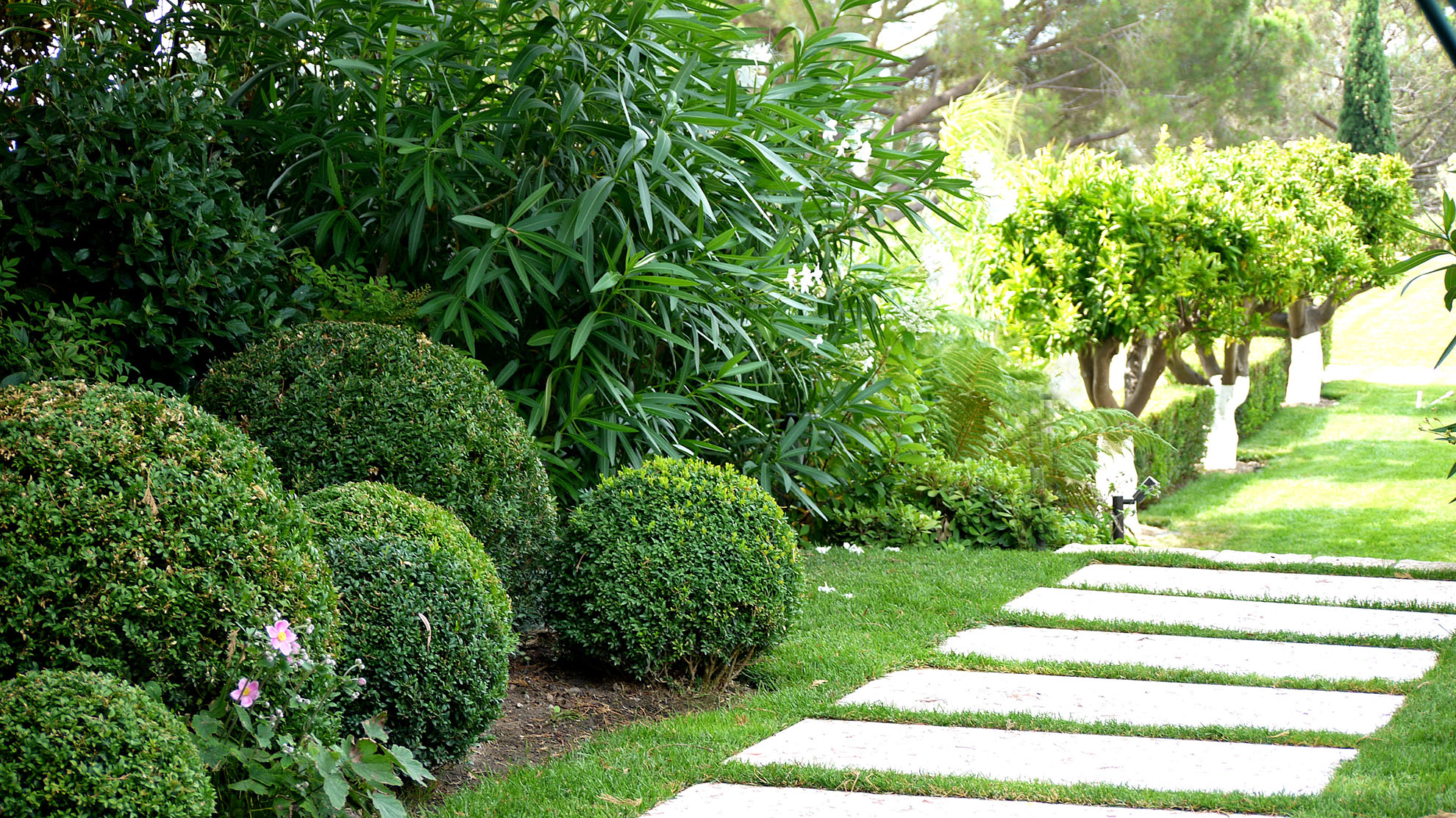 Jardin méditerranéen Cannes