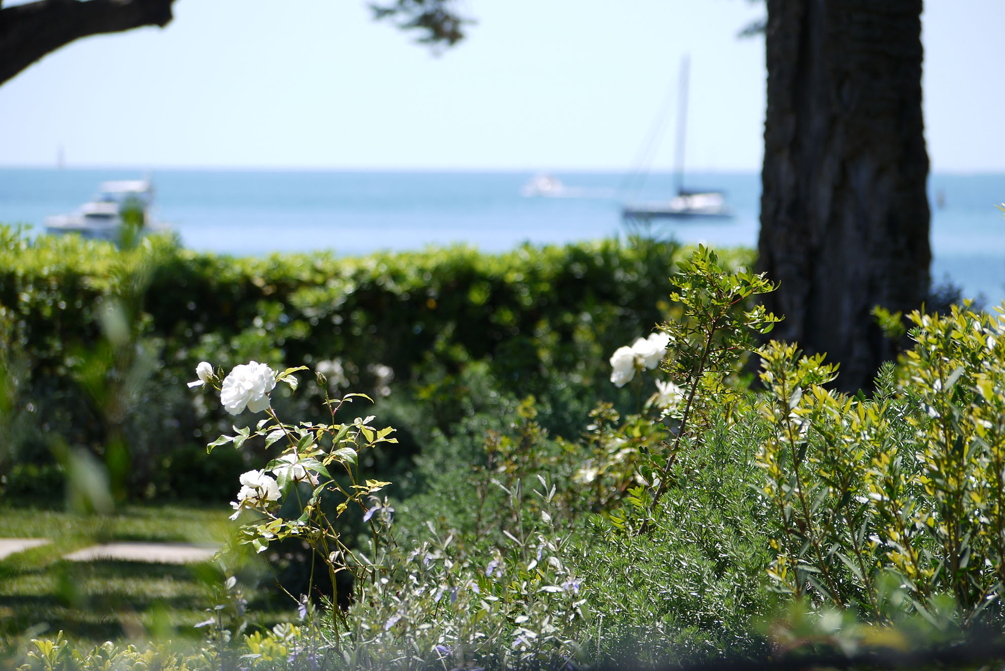 Jardin sous la Pinède Cap D'Antibes