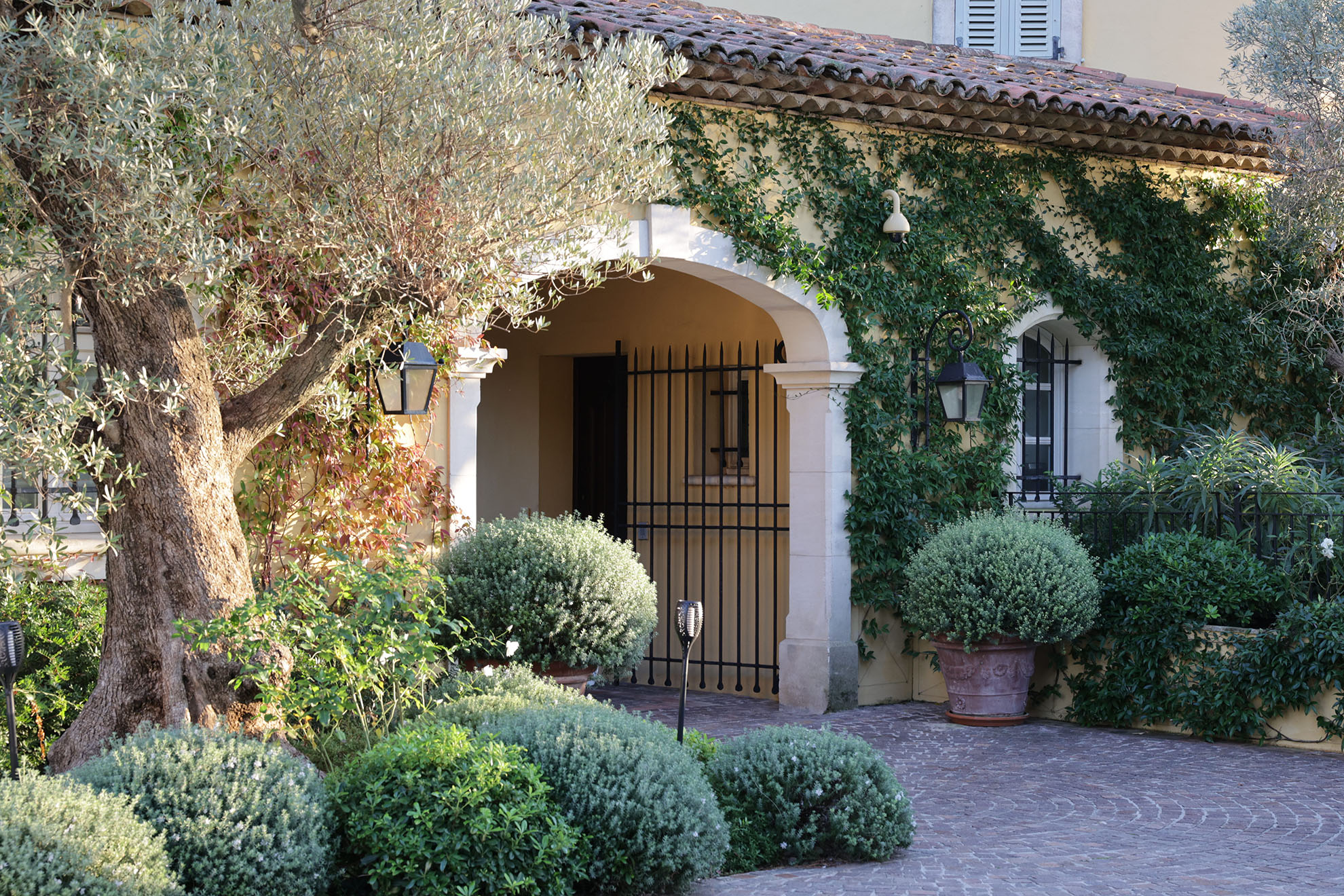 Jardin sous la Pinède Cap D'Antibes