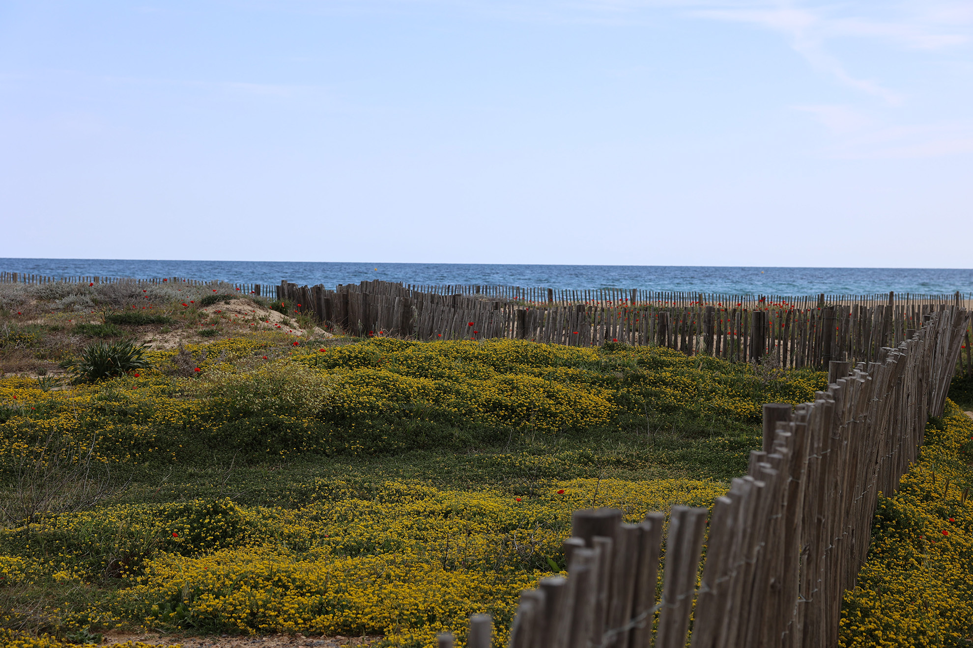 Plage de Pampelonne Ramatuelle